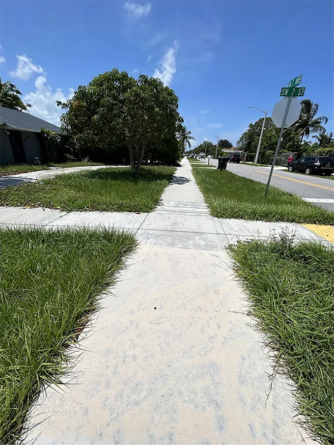 Before Lawn Mowing